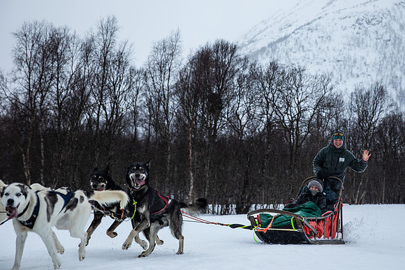 20260319_KILGORE DOG SLEDDING-5835