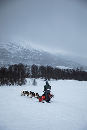 20260319_KILGORE DOG SLEDDING-5842