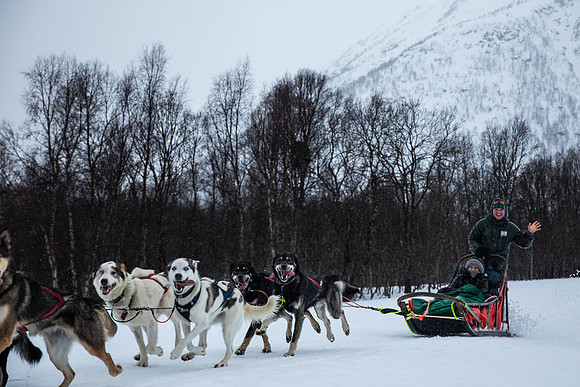 20260319_KILGORE DOG SLEDDING-5834