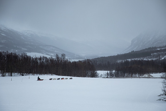 20260319_KILGORE DOG SLEDDING-5849