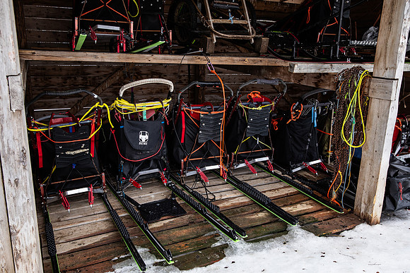 20260319_KILGORE DOG SLEDDING-5919