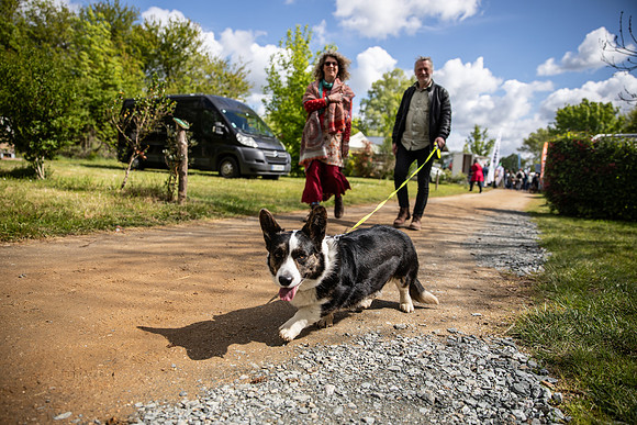 20240428_campervan Weekend 24& beyond -0944