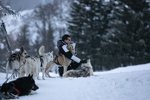 Dog Sledding Four Seasons Megeve