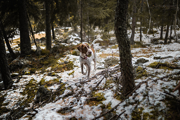 20191114_Joel&Lauren-7970
