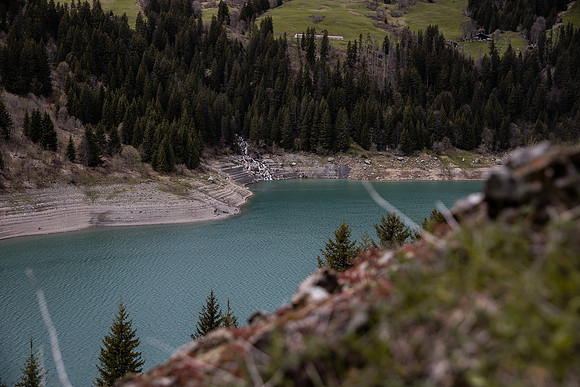 20230520_untitled shoot-8491-3