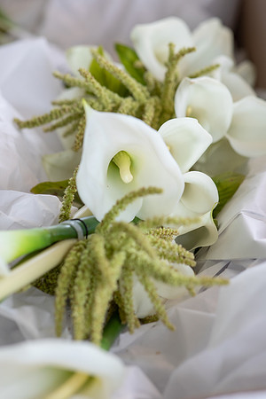 20261017_Alyssa & leo Wedding-2491