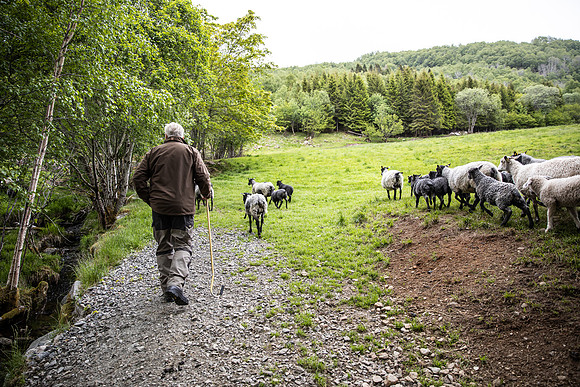 20230605_TunheimsFjora-8804