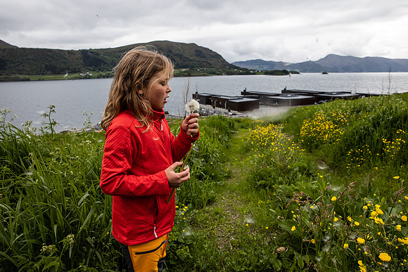 20230605_TunheimsFjora-9038