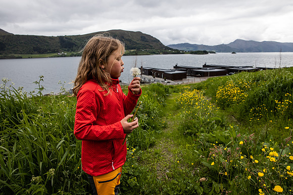 20230605_TunheimsFjora-9040
