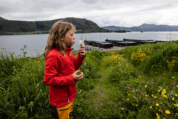 20230605_TunheimsFjora-9046