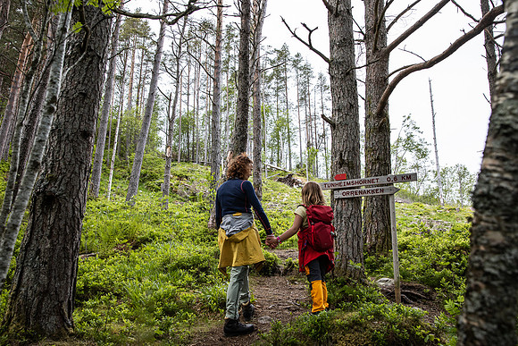 20230605_TunheimsFjora-8903