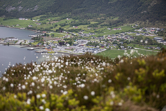 20230605_TunheimsFjora-8058