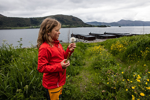 20230605_TunheimsFjora-9024