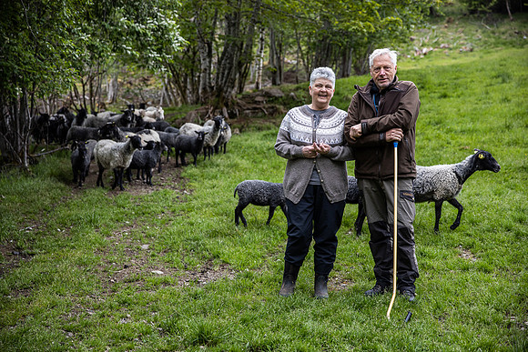 20230605_TunheimsFjora-8863