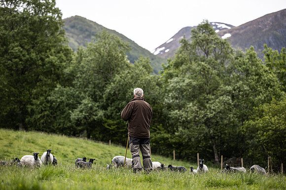 20230605_TunheimsFjora-7988