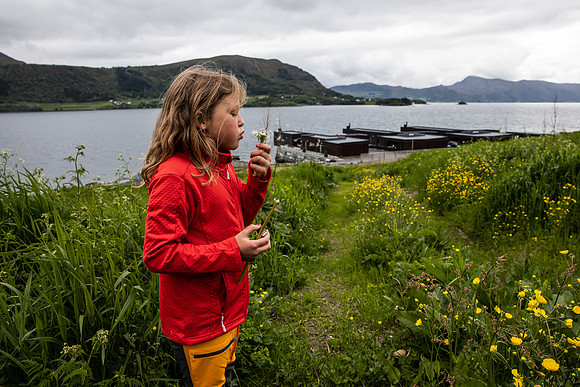 20230605_TunheimsFjora-9051