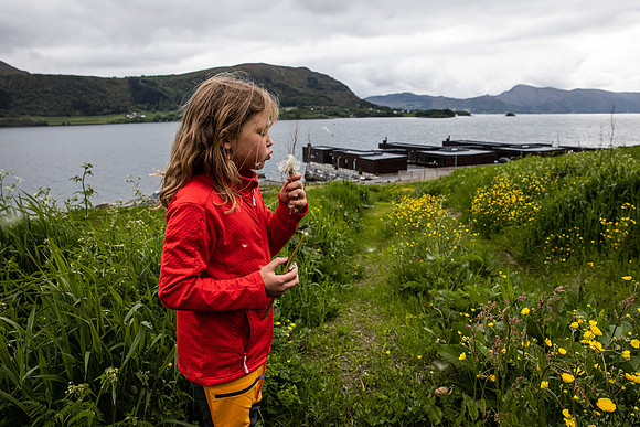 20230605_TunheimsFjora-9042