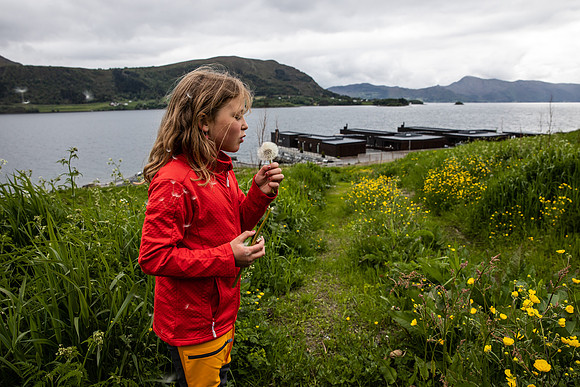 20230605_TunheimsFjora-9030