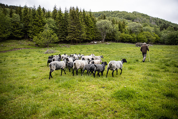 20230605_TunheimsFjora-8812