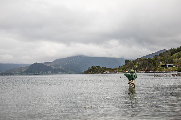 20230606_TunheimsFjora day 2-8193