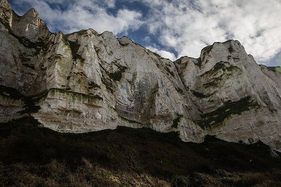 20230319_Zian in Picardie-5873