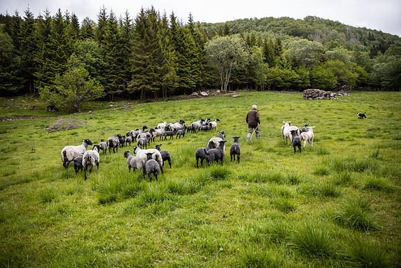 20230605_TunheimsFjora-8814