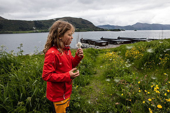 20230605_TunheimsFjora-9037