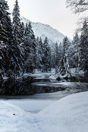 20230124_MeandZi-2502