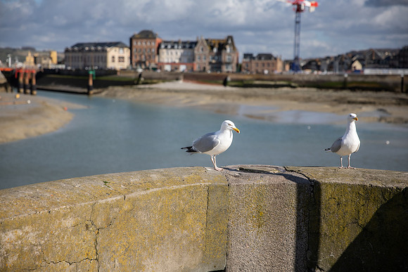 20230319_Zian in Picardie-5757