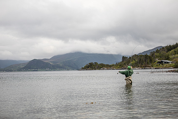 20230606_TunheimsFjora day 2-8201