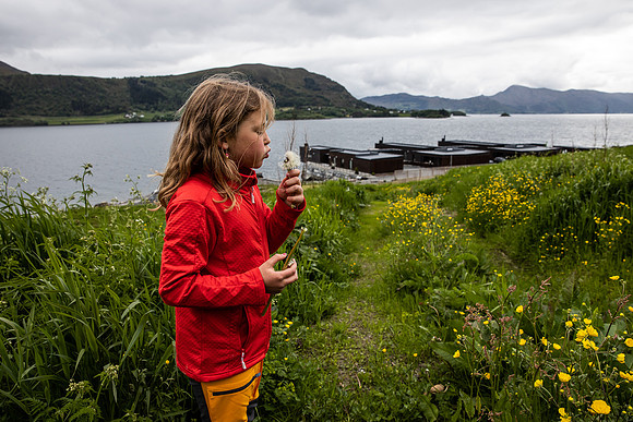 20230605_TunheimsFjora-9041