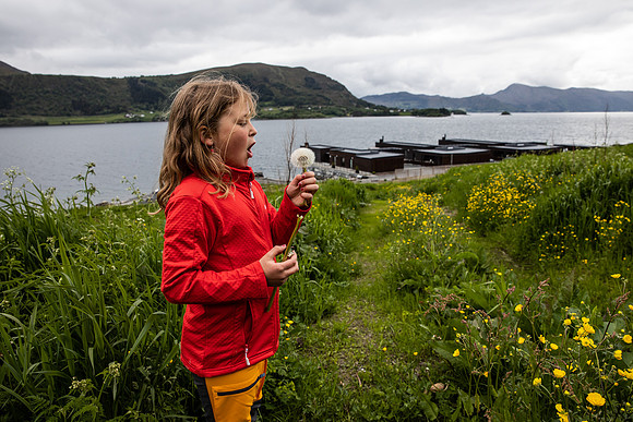 20230605_TunheimsFjora-9026