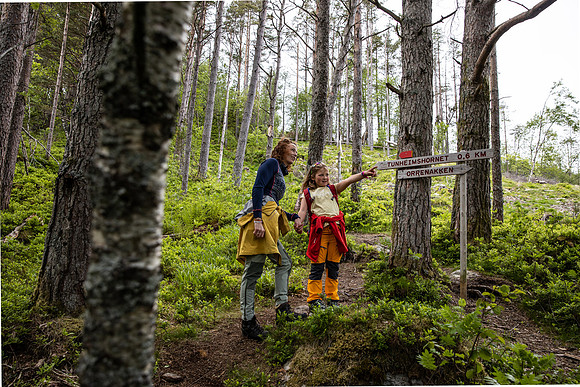 20230605_TunheimsFjora-8916