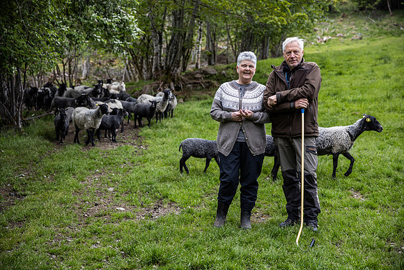 20230605_TunheimsFjora-8863