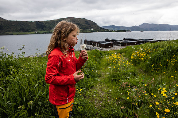 20230605_TunheimsFjora-9036