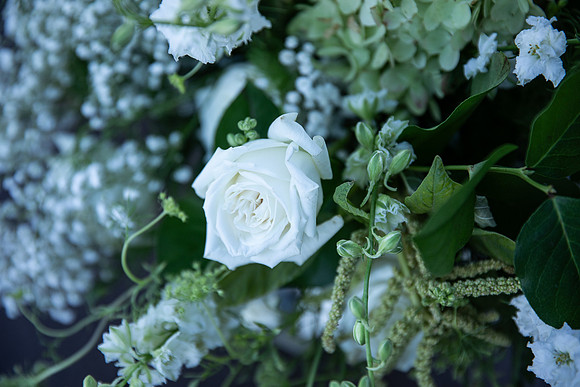 20261017_Alyssa & leo Wedding-4247