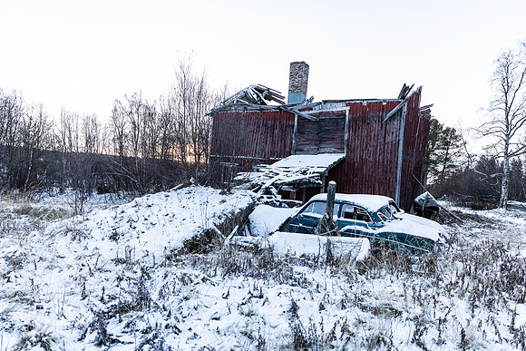 20211107_Engholm Husky-7676