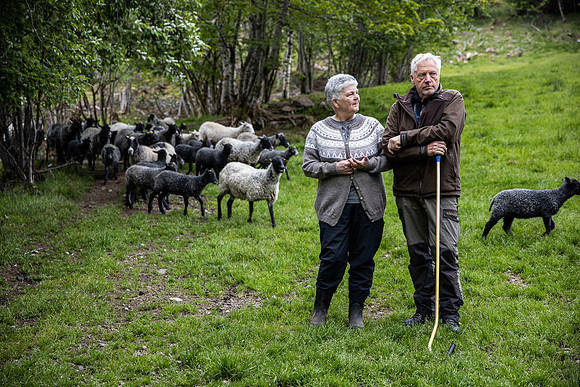20230605_TunheimsFjora-8865