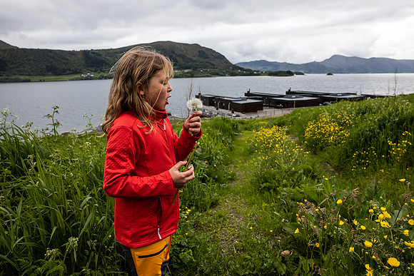 20230605_TunheimsFjora-9039