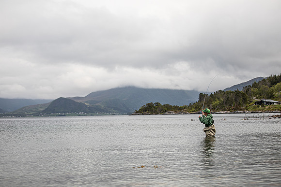 20230606_TunheimsFjora day 2-8188