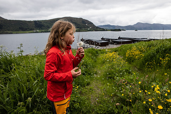 20230605_TunheimsFjora-9035