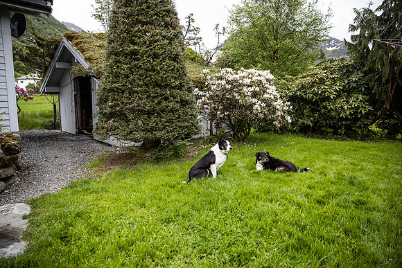 20230605_TunheimsFjora-8786