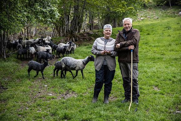 20230605_TunheimsFjora-8861