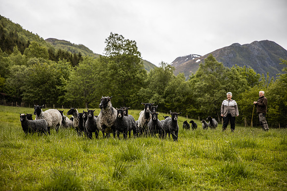 20230605_TunheimsFjora-8826