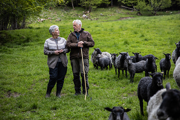 20230605_TunheimsFjora-8867