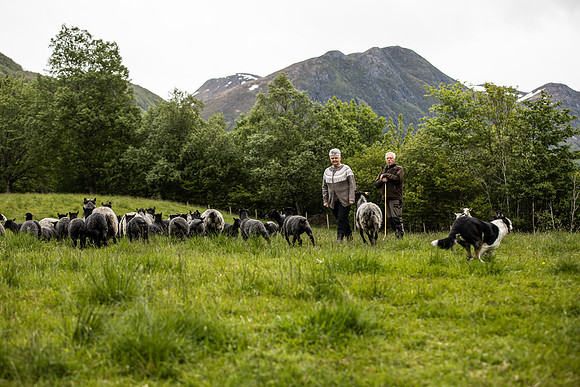 20230605_TunheimsFjora-7989
