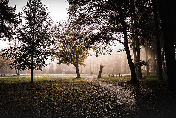 20201206_Gruffolo-8004