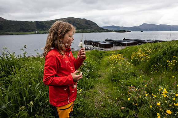 20230605_TunheimsFjora-9044