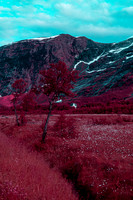 20230701_Infra Tunheimsfjora and Oye-7597