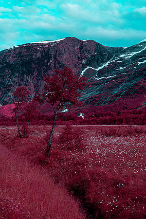 20230701_Infra Tunheimsfjora and Oye-7597